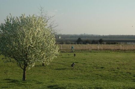 Sustainability, One Step At a Time Image